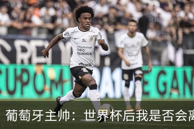 葡萄牙主帅：世界杯后我是否会离任？现在重要的是专注于世界杯