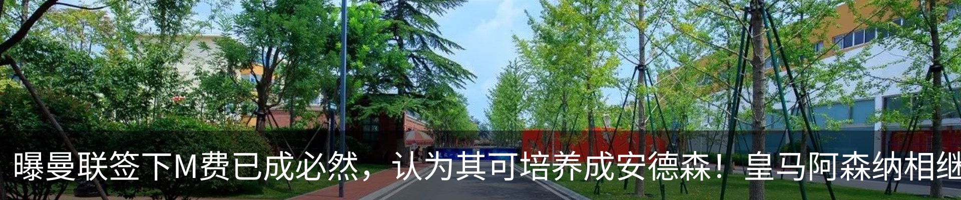 新闻动态